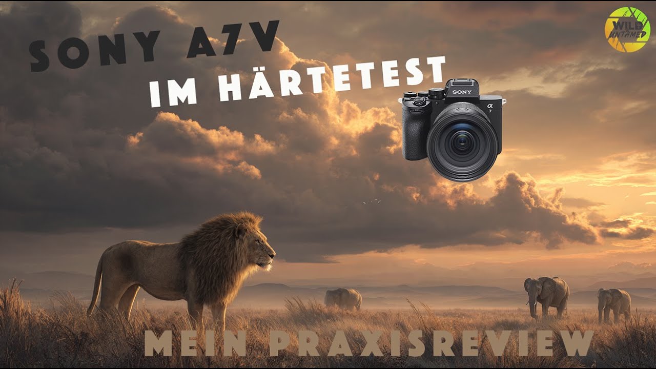 Sony A7V Review: Der neue Standard für die Wildlife-Fotografie?