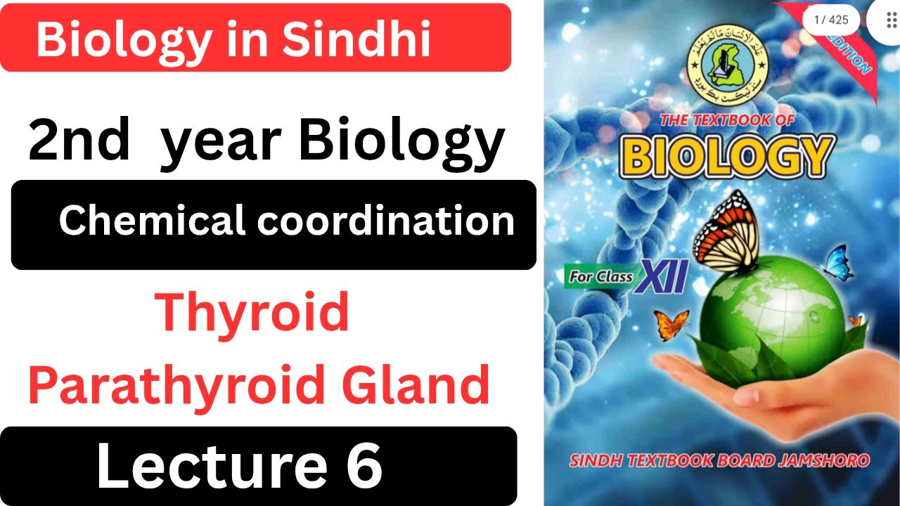 Inter Biology in Sindhi||Thyroid Gland||Parathyroid Gland||hormones||class 12Biology Sindh Board New