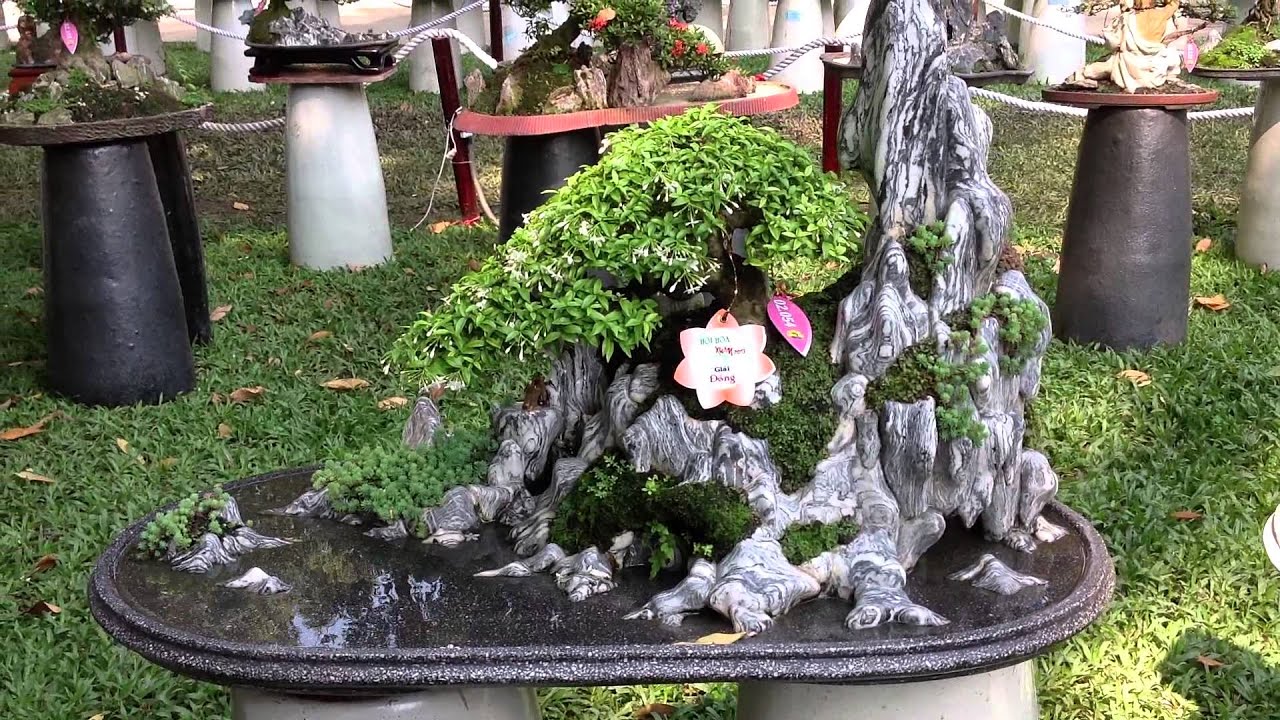 KHU TRƯNG BÀY TIỂU CẢNH & BONSAI TRONG HỘI HOA XUÂN TAO ĐÀN QUÝ TỴ 2013