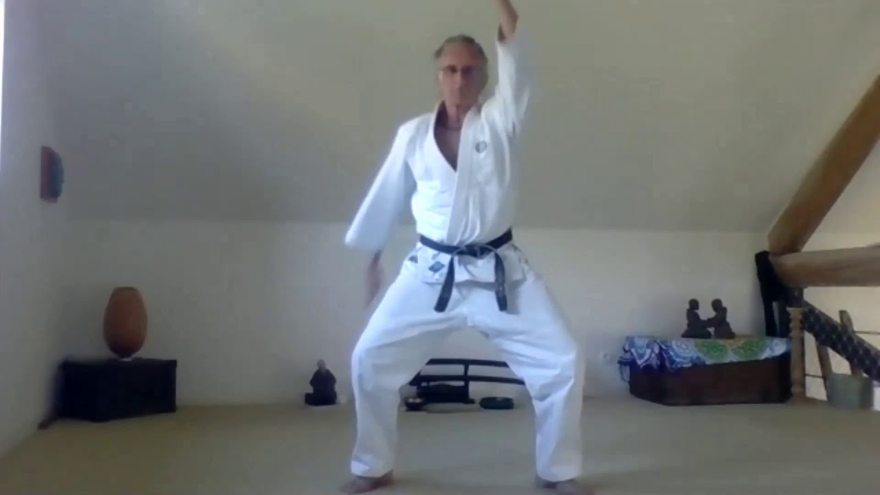 Aikido chez soi cours 1