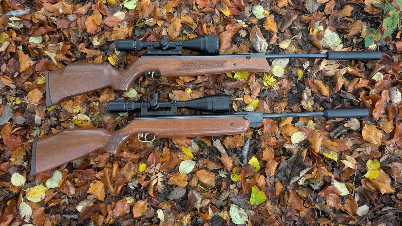 grey menace pest control with the hw80k