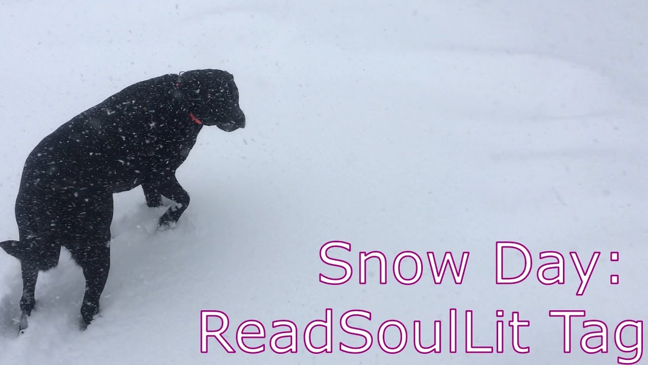#ReadSoulLit Tag