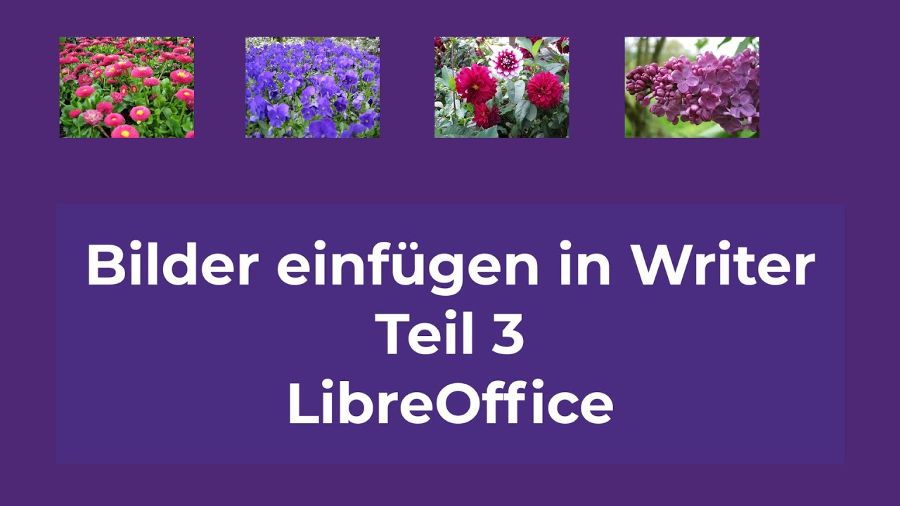Bilder einfügen in Writer - Teil 3 - LibreOffice (German/Deutsch)