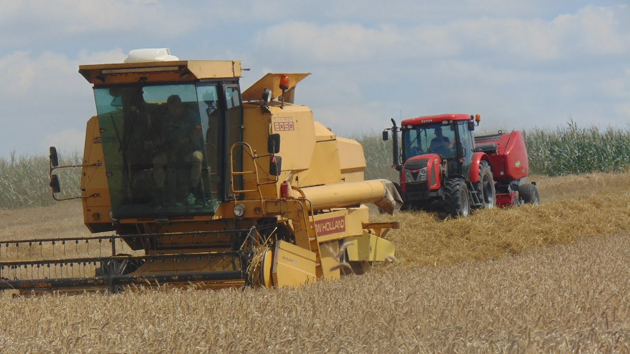 🔥OPOROWE ŻNIWA 2021🔥Pszenżyto pod kose🔥New Holland 8050🔥Massey 3050🔥Zetor 85 plus🔥Wielkopolska🔥