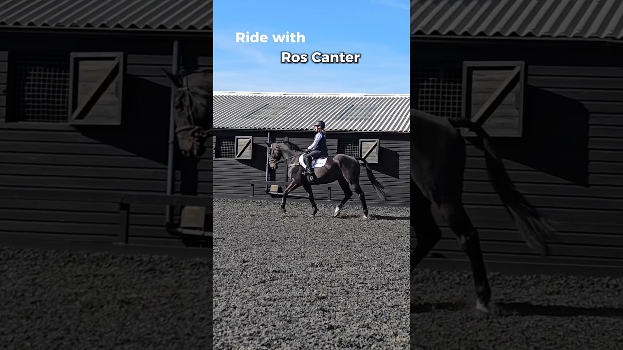 Check out top eventer Ros Canter's exercises to improving your horse's straightness 🙌