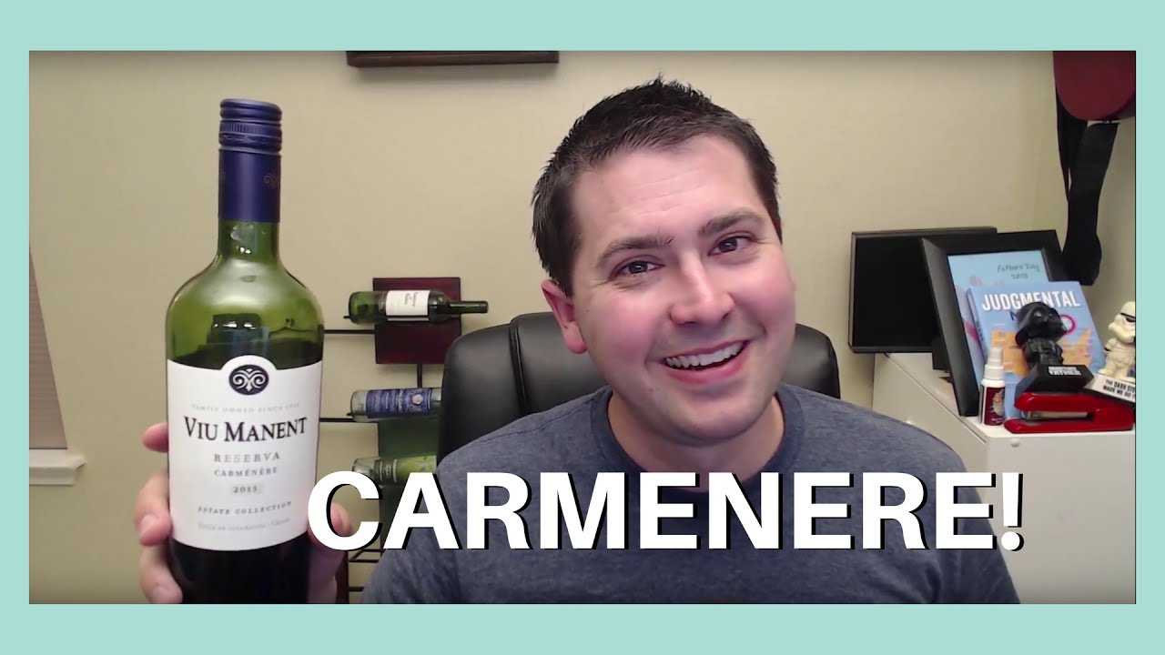 Viu Manent Carmenere Wine Review