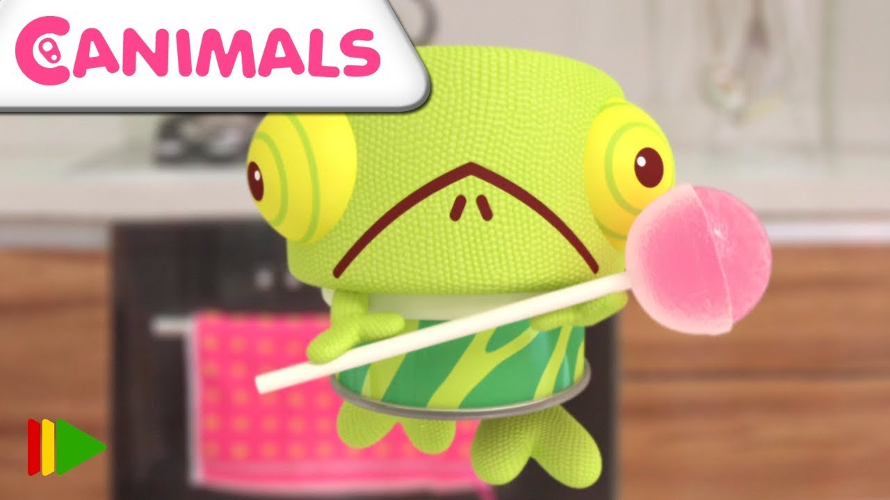 Canimals | Épisode 27 et 28 | Dessins pour enfants | 11 minutes