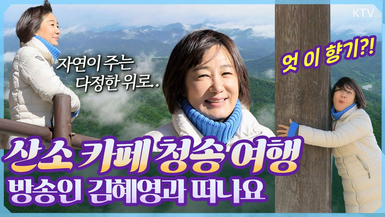 공기가 달달💗 방송인 김혜영의 산소 카페 청송여행! 한국 3대 암산 주왕산, 100년의 역사 달기약수! 힐링 그 잡채! 자연과 역사가 어우러진 청송의 매력 #청송사과 #주산지