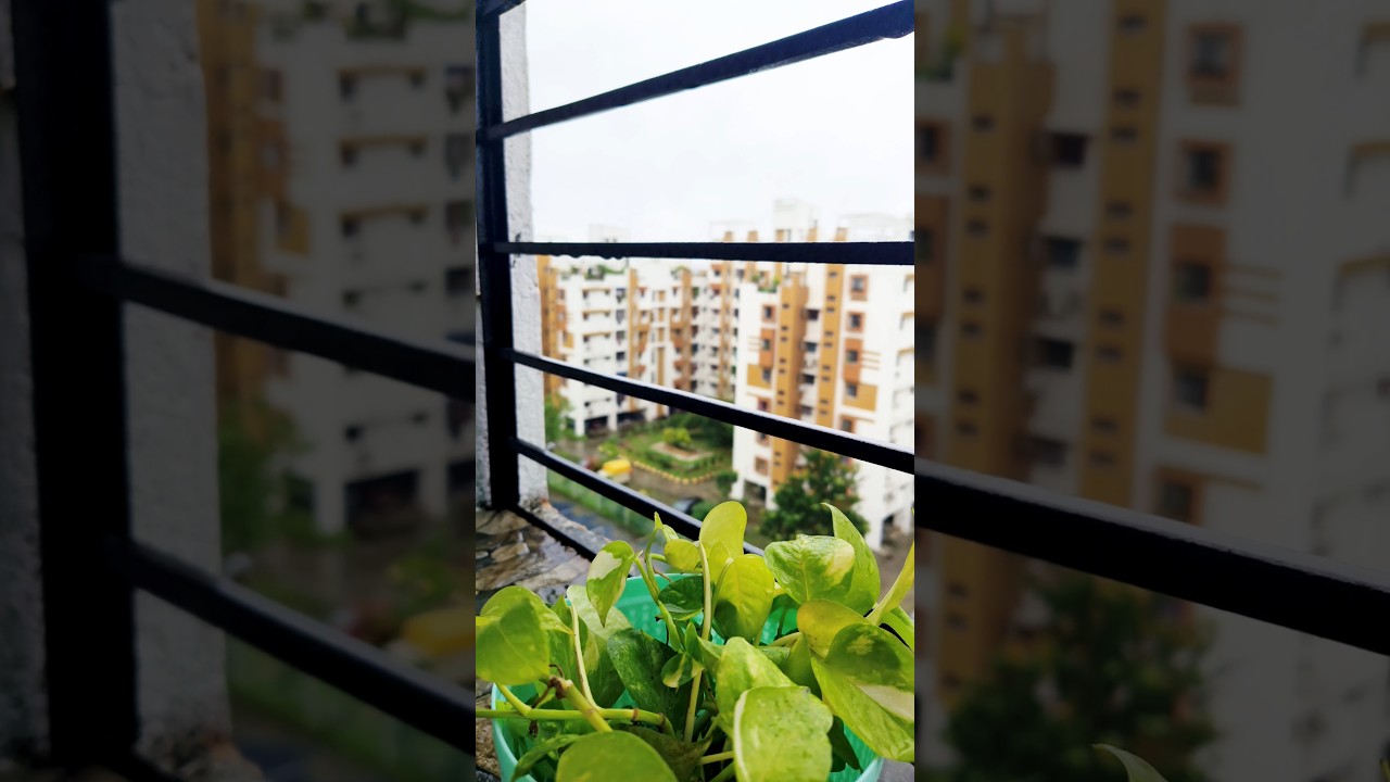 Weather ❤️❤️❤️❤️ #shorts #viralshorts #Gita'shometown @vlogwithpiu2026