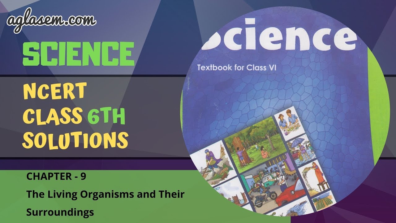 NCERT Solutions Class 6 Science Chapter 9: The Living Organisms and Their Surroundings
