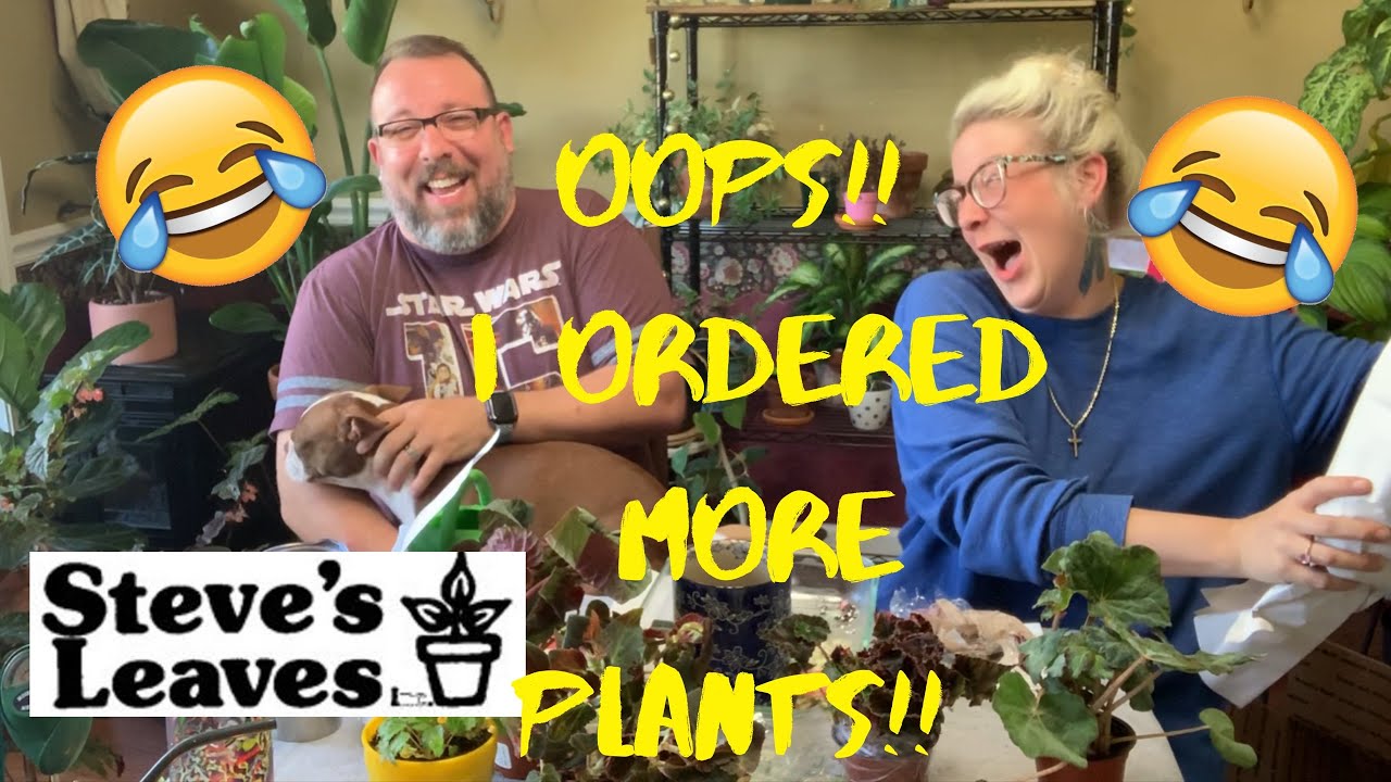 RARE BEGONIA UNBOXING | STEVES LEAVES | OOPS MORE PLANTS MY BAD