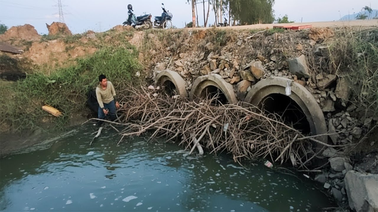 Remove Branch Of Trees Clogged Multi Culvert