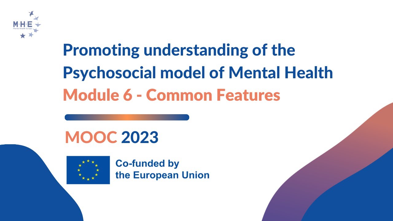6. The Psychosocial Model of Mental Health - Common features