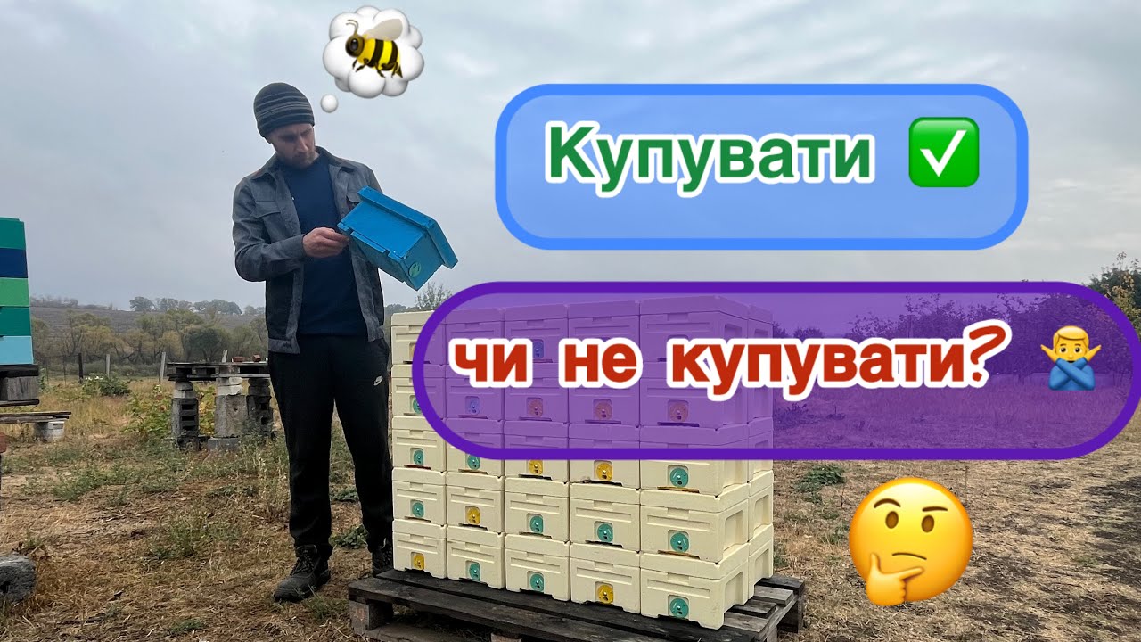 Які нуклеуси найкращі❓Бюджетний нуклеус на 2 маткомісця. 😎 Дешевше не буває! 💛💙