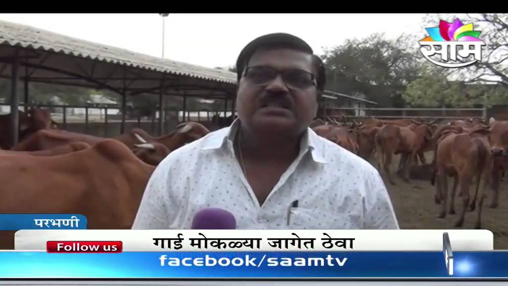 How to rear Lal Kandhari breed of cattle : Nitin Markandey