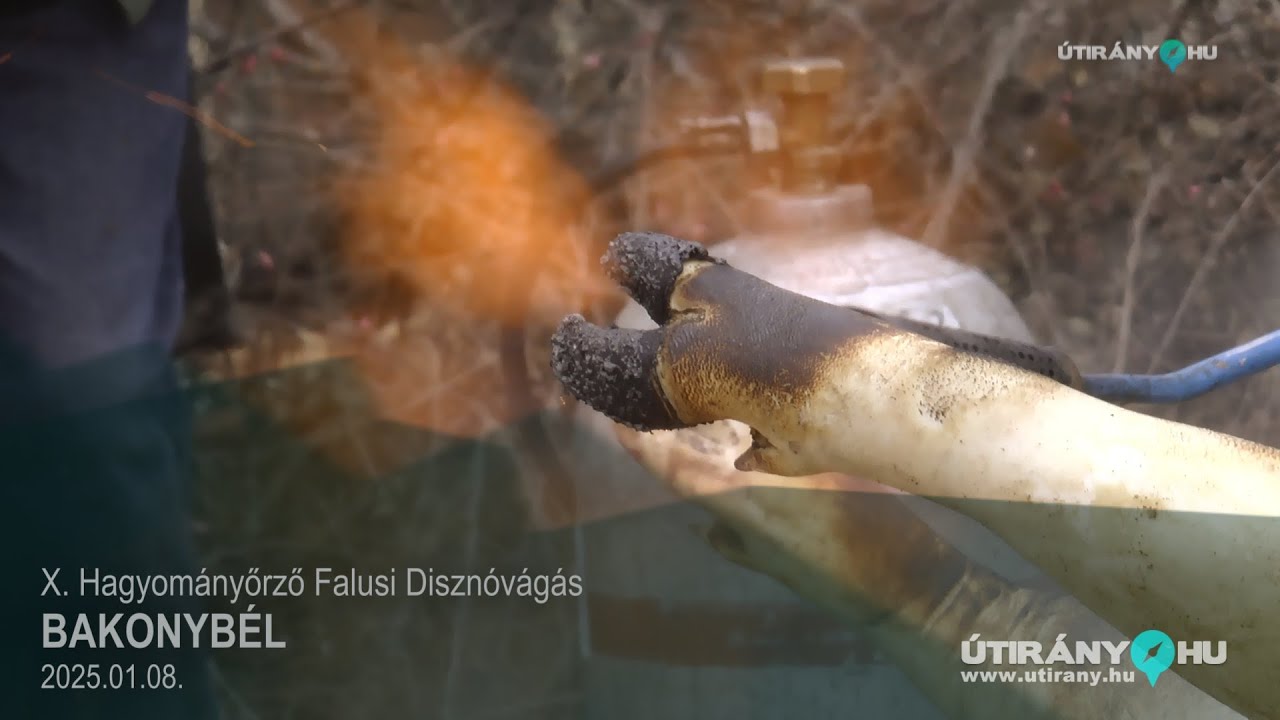 X. Hagyományőrző Falusi Disznóvágás, BAKONYBÉL, 2025.02.08. Útirány.hu