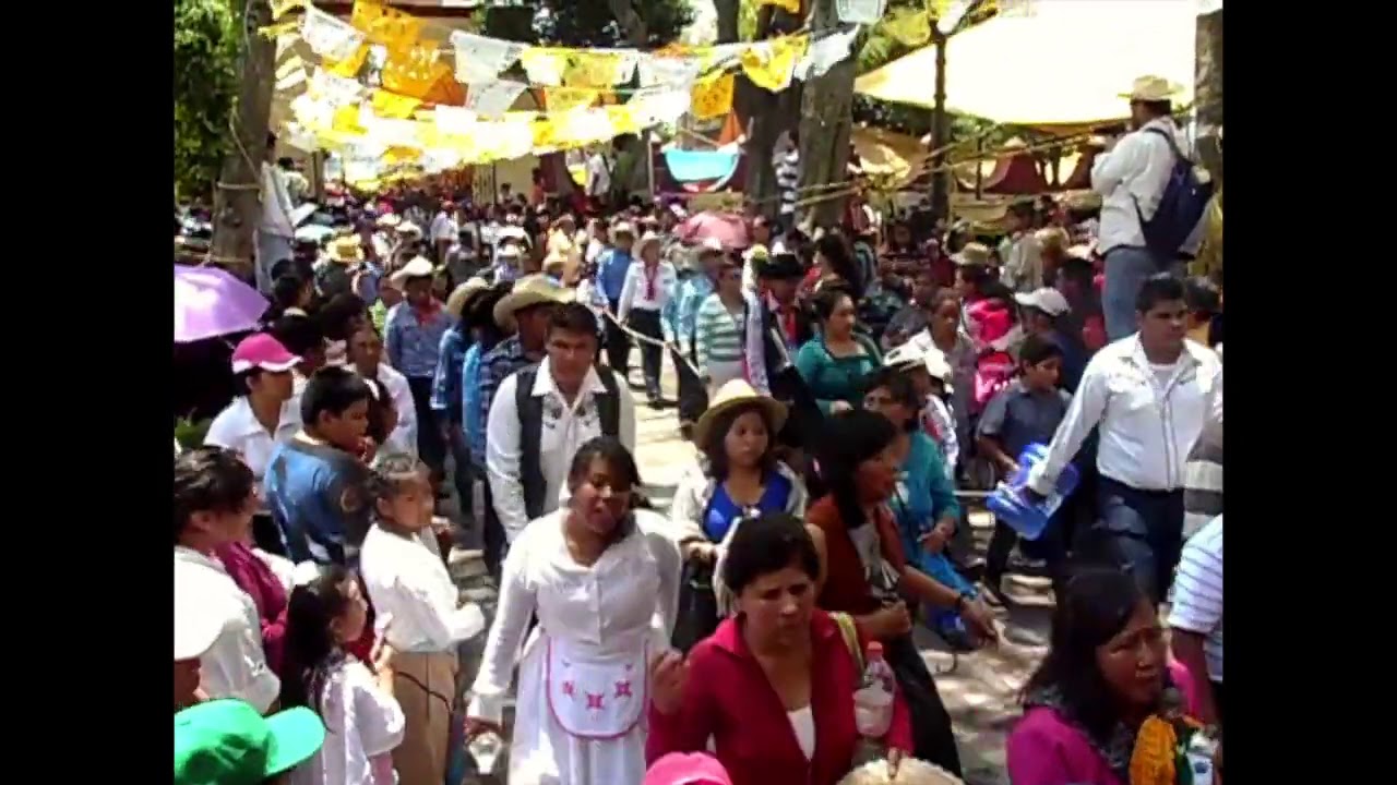 Procesión de la fiesta patronal. Santa Ana Tlacotenco 2013