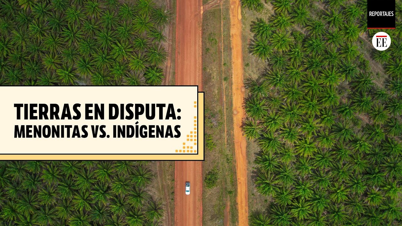 La disputa por tierras entre menonitas e indígenas en Puerto Gaitán | El Espectador
