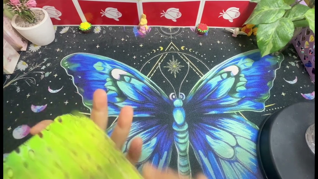 🦋ข้อความจากจักรวาล🦋#อ่านไพ่จิตวิญญาณ #selflove #ดูดวงไพ่ยิปซี #healingwhisper #tarotreader#healing￼