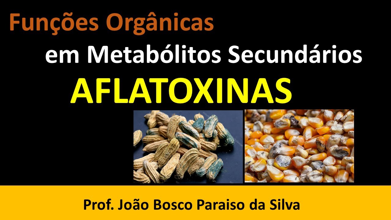 🥜 😲  Funções Orgânicas: Aflatoxinas (Cuidado Causa Câncer)