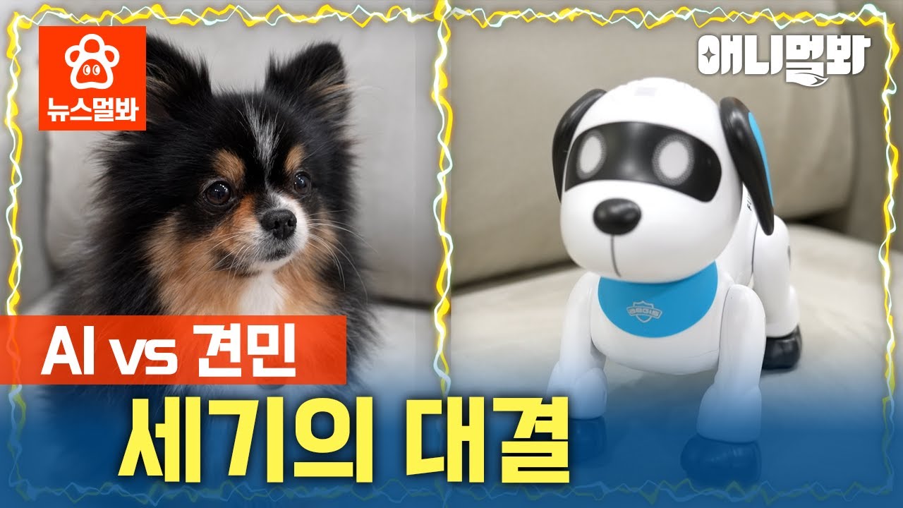 (찐)견민의 자리를 위협하는 (로봇)견민의 반란ㅎㄷㄷ | SBS뉴스멀봐 (2024.12.20) Robot Dogizens Threaten Real Dogizen's Place