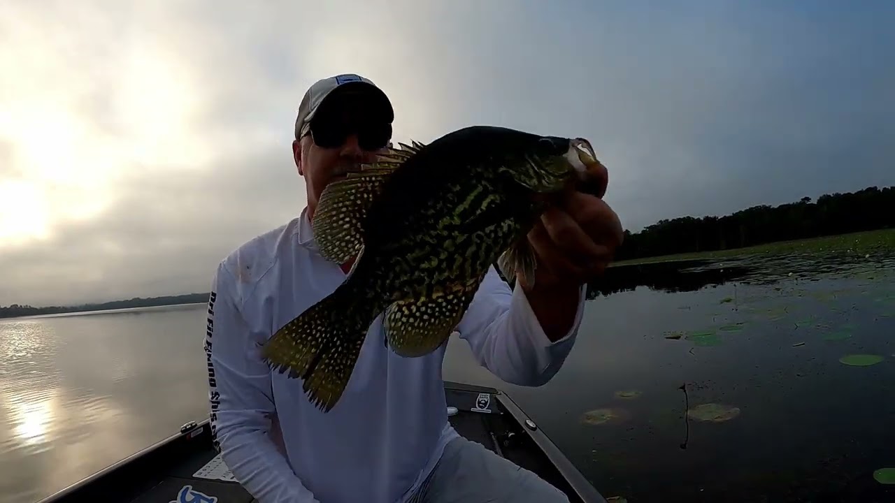 Summer Grass Crappie, Lake Iamonia. Big Crappie Fishing