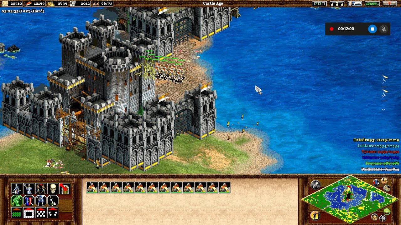 Age of empires 2 custom campaign: The lion of Sweden - Chapter IV (final) (hard) (No commentary)