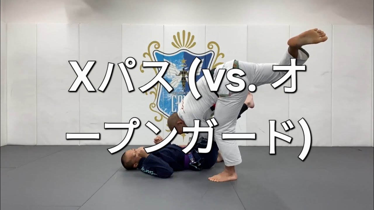 オープンガードに対するXパス