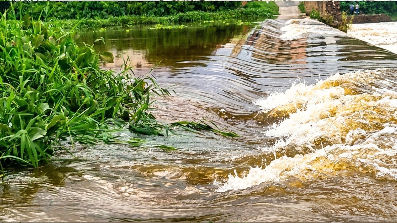 Atualização do Rio Salgado: Águas Aumentam Após Chuvas no Cariri – O Que Esperar? 
