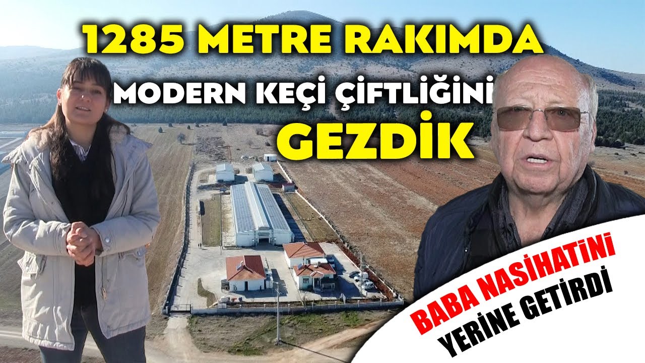 BABA NASİHATI - MODERN KEÇİ ÇİFTLİĞİ - 1285 METRE YÜKSEKLİK - TÜM HAYVANLAR DİJİTAL ORTAMDA TAKİP