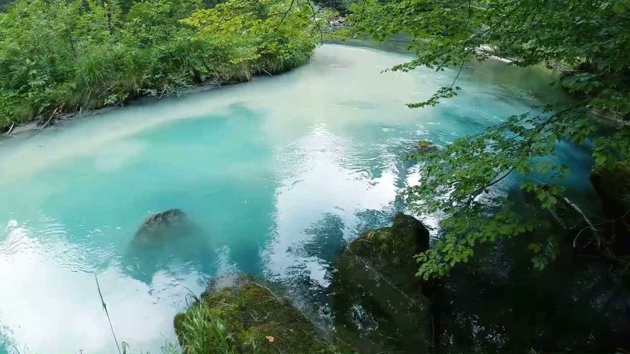 مناظر طبيعية لأنهار هادئة و غابات خلابة مع صوت خرير المياه بدقة HD🌿🌊 amazing rivers with water sound