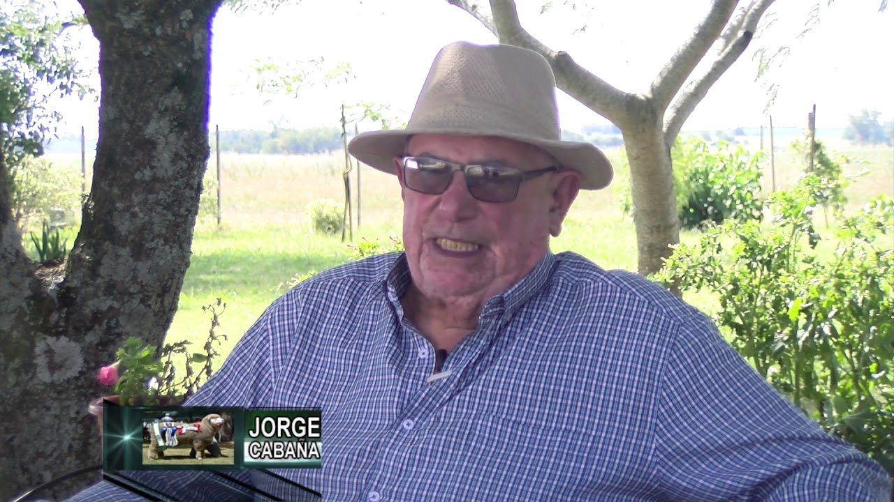 CABA&Ntilde;A CORRIEDALE LA ESTELA EDICI&Oacute;N Y C&Aacute;MARA  JOSE LUIS DARRIBA   AGRO INFORME 2020