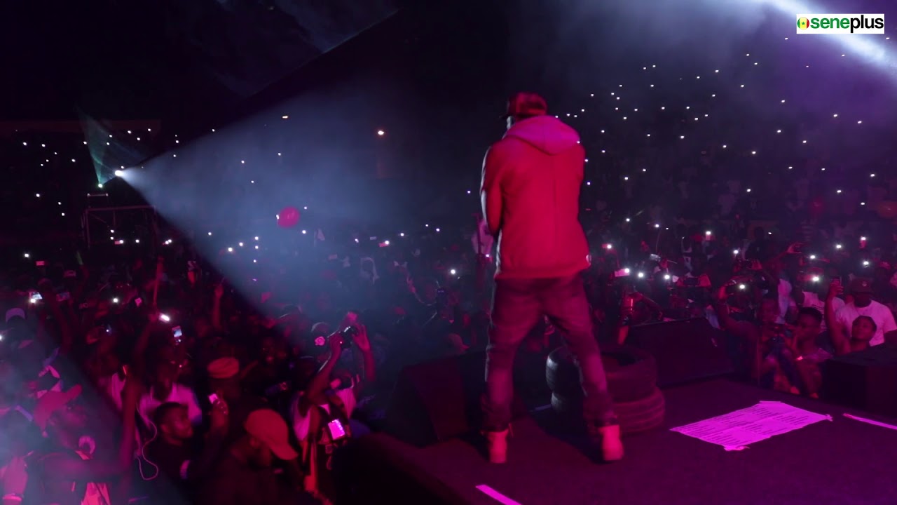 SHOW OF THE YEAR NITDOFF