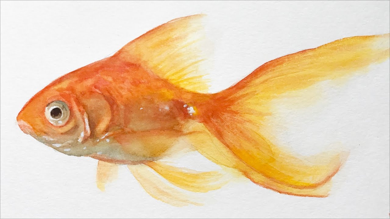 Animals #19 - Watercolor painting lesson of a Goldfish