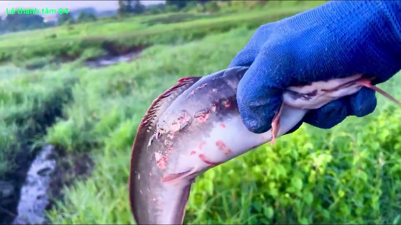 Nước rút mà dẫn trúng nữa vỏ cá luôn