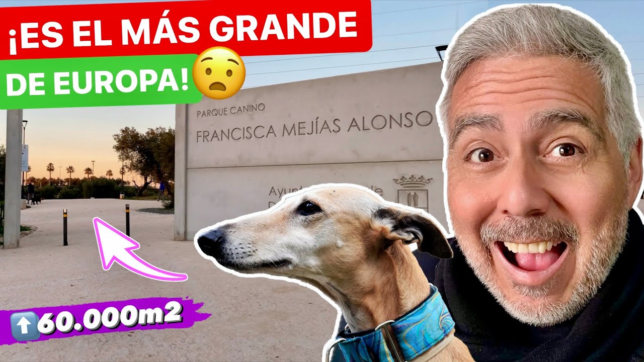 Pasamos un d&iacute;a en el PARQUE PARA PERROS M&Aacute;S GRANDE DE EUROPA! 😱 - VLOG #1