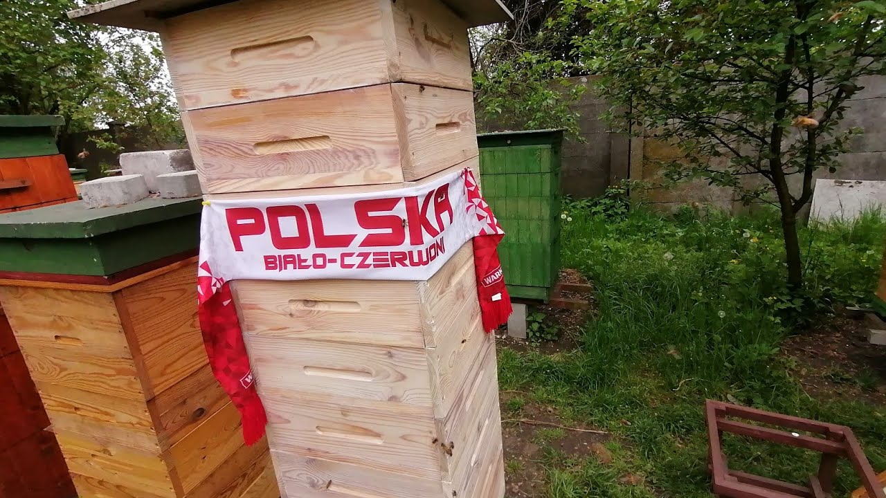 Upadłem na kolana i dopiero zrozumiałem co,, Pasieka Sosna