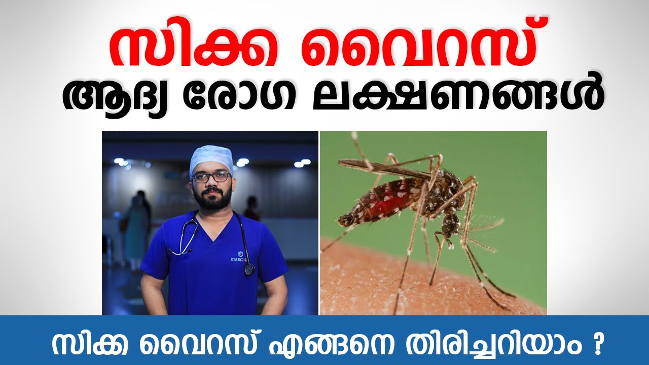 സിക്ക വൈറസ് ആദ്യ രോഗ ലക്ഷണങ്ങൾ | Zika Virus Symptoms | Malayalam