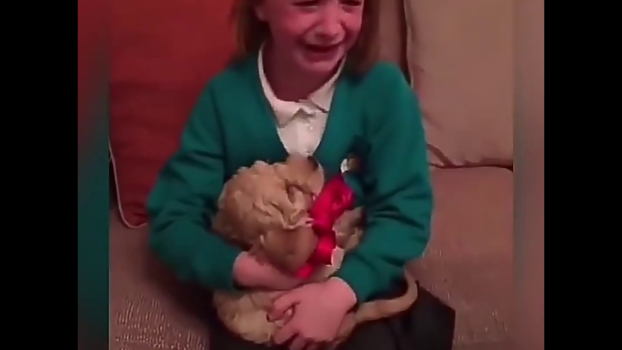 Le reazioni più dolci e spettacolari quando le persone ricevono un cagnolino! 😍