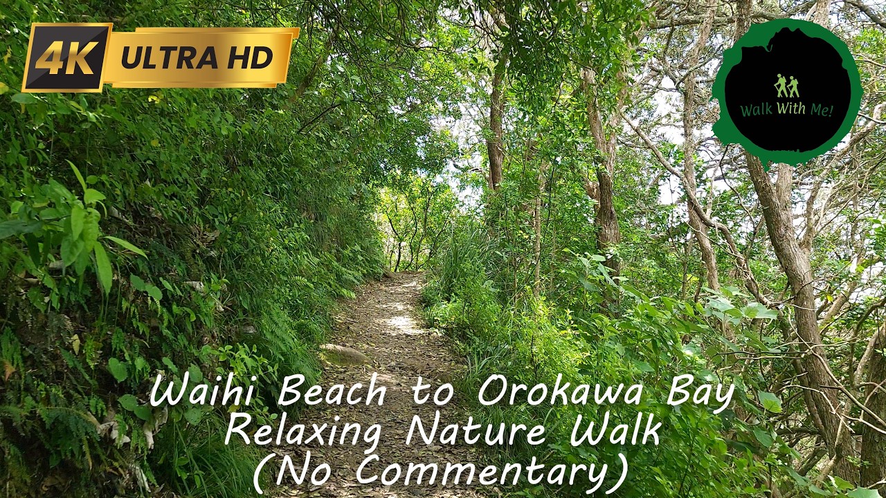 Waihi Beach to Orokawa Bay NZ | Relaxing Walk (No Commentary) #naturewalk #forestsounds #beachwalk