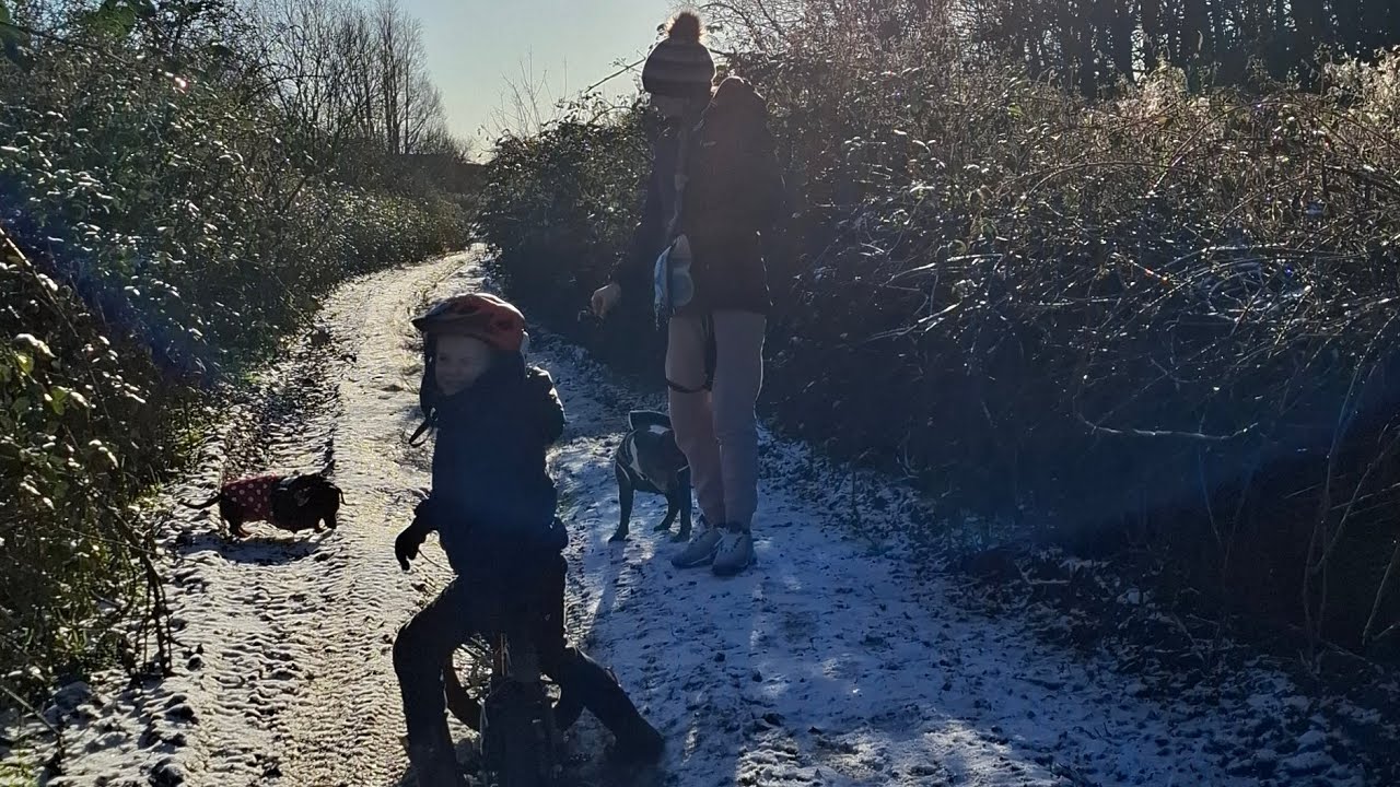 Snowy day out 