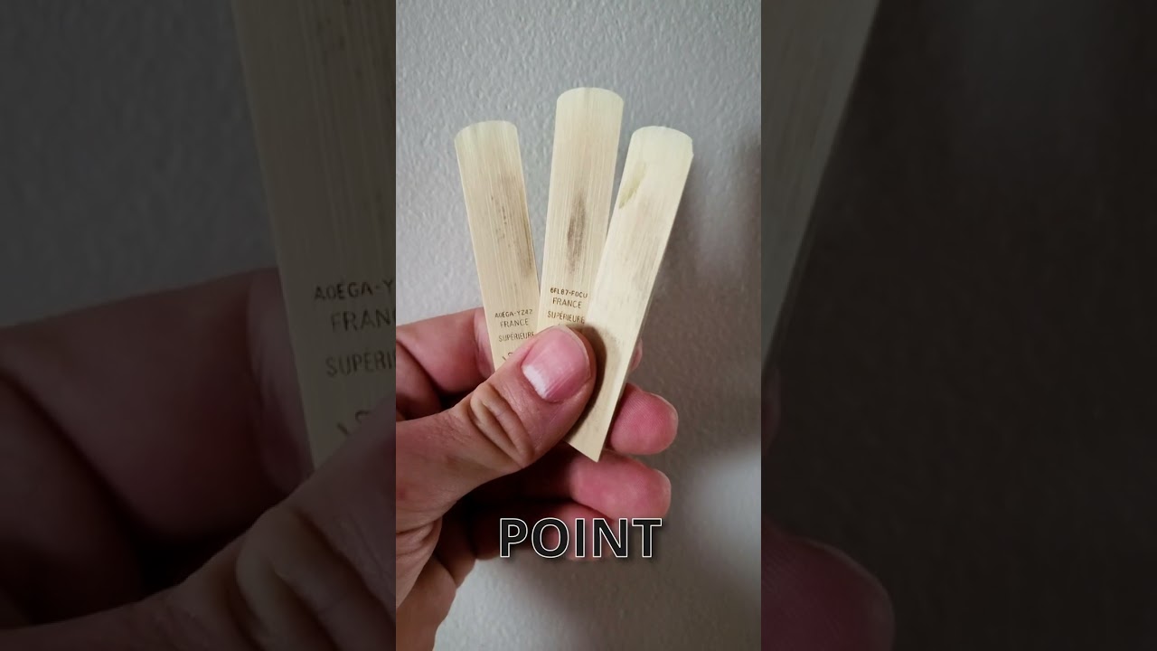 Does Your reed look like This?