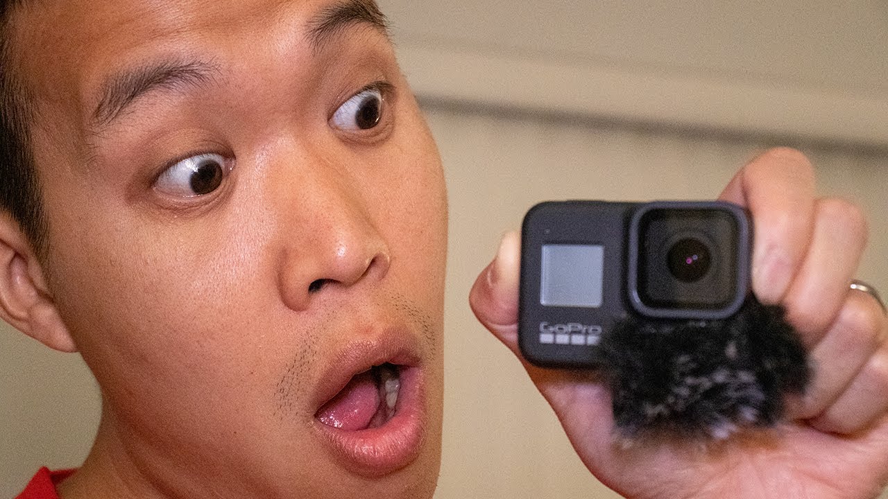 GoPro Hero 8 Black with Dead Cat Mod
