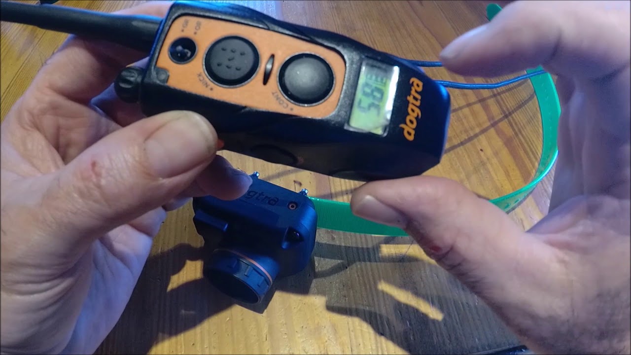 Présentation et essai du dogtra2602 T&B