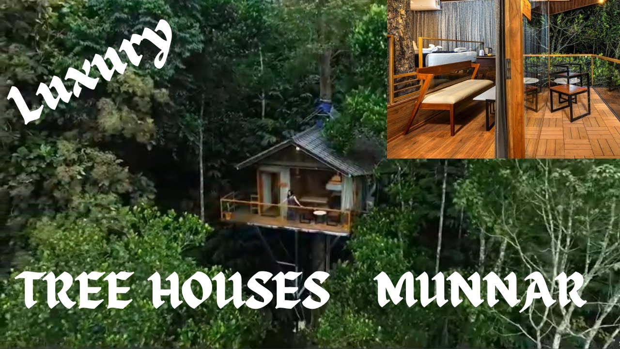 Tree house in Munnar | Best Luxury Resort in Camellia Elettaria Resort Munnar | Munnar Tree Houses