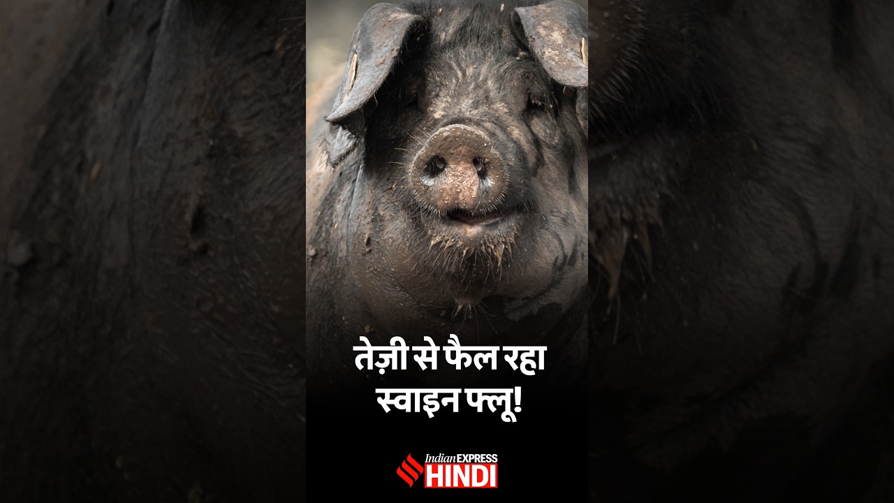 Swine Flu के बढ़ते मामलों पर JP Nadda का बड़ा एक्शन | H1N1