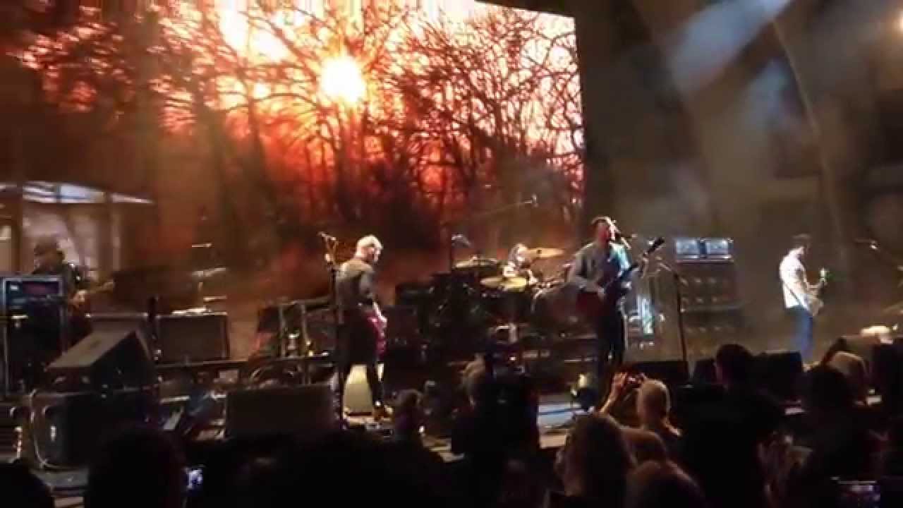 (HD) Kings of Leon - 