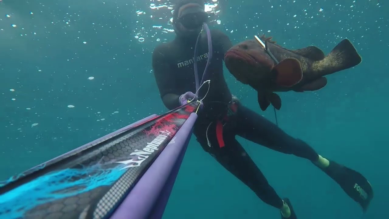 Spearfishing moments🔱I am FATAL 🔱NEPTUNUSspearguns🔱
