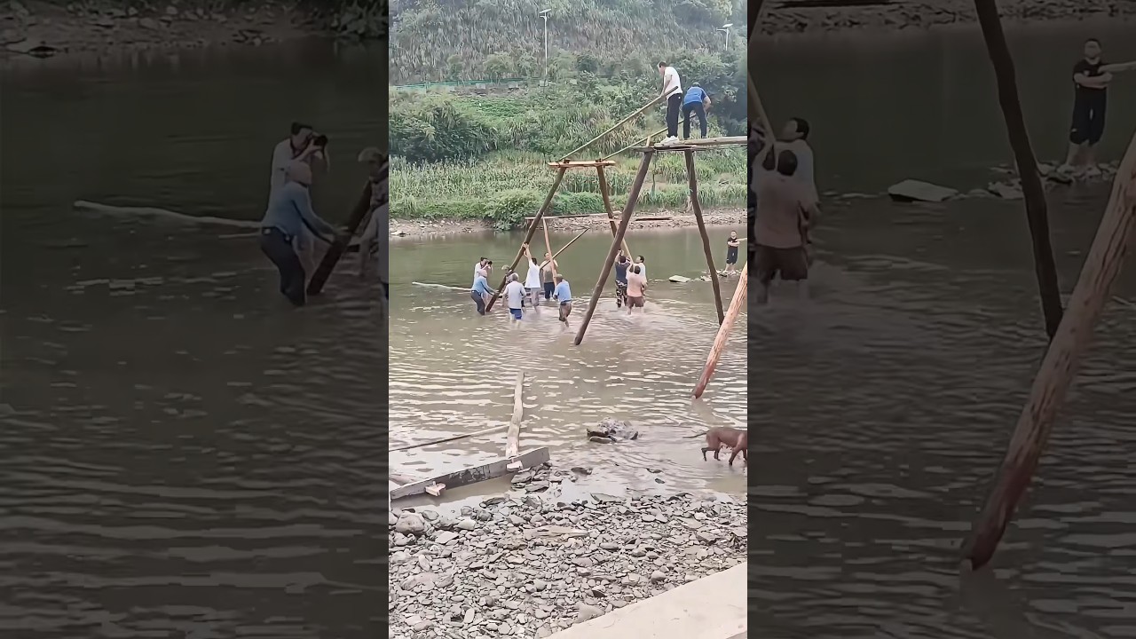 Simple wooden bridge construction: A great team is efficient and cohesive