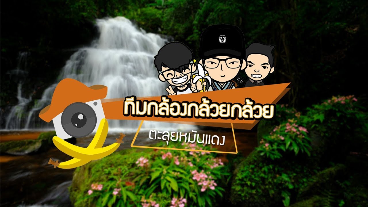 ทีมกล้องกล้วยกล้วยตะลุยหมันแดง